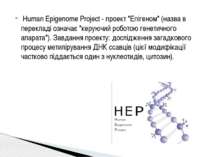 Human Epіgenome Project - проект "Епігеном" (назва в перекладі означає "керую...