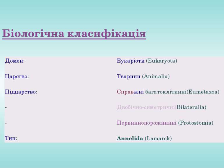 Біологічна класифікація Домен: Еукаріоти (Eukaryota) Царство: Тварини (Animal...