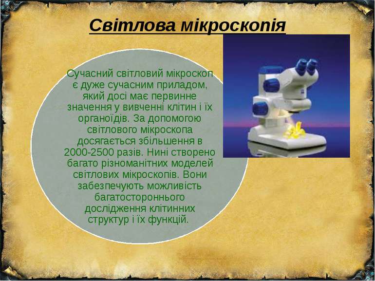 Світлова мікроскопія