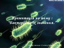"Бактерії та їх значення"