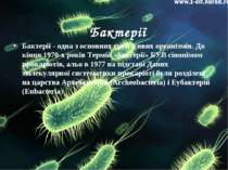 Бактерії Бактерії - одна з основних груп живих організмів. До кінця 1970-х ро...