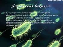 Походження бактерій. Предки сучасних бактерій були одноклітинними мікрооргані...