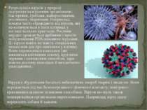Репродукція вірусів у природі підтримується різними організмами: бактеріями, ...