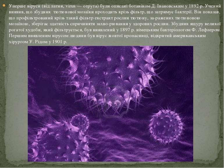 Уперше віруси (від латин, virus — отрута) були описані ботаніком Д. Івановськ...