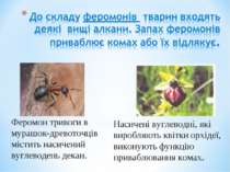 Насичені вуглеводні, які виробляють квітки орхідеї, виконують функцію привабл...