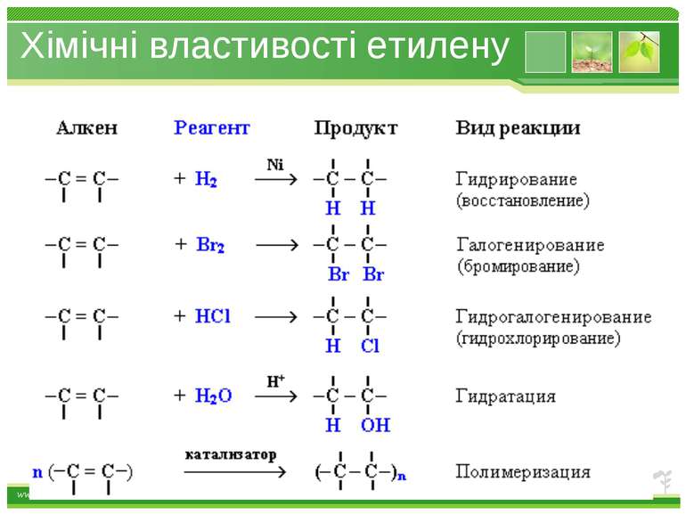 Хімічні властивості етилену www.themegallery.com