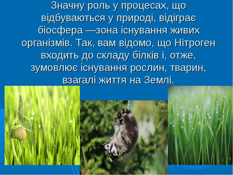 Значну роль у процесах, що відбуваються у природі, відіграє біосфера —зона іс...