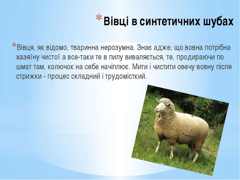 Вівці в синтетичних шубах Вівця, як відомо, тваринна нерозумна. Знає адже, що...