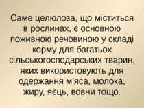 Саме целюлоза, що міститься в рослинах, є основною поживною речовиною у склад...