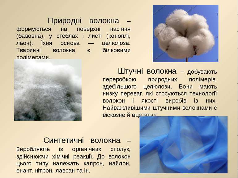 Природні волокна – формуються на поверхні насіння (бавовна), у стеблах і лист...