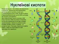 Нуклеїнові кислоти Нуклеїнові кислоти — біополімери, мономерами яких є нуклео...