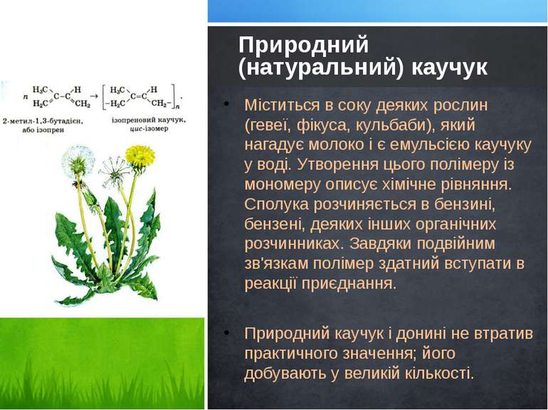 Міститься в соку деяких рослин (гевеї, фікуса, кульбаби), який нагадує молоко...