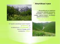 Для альпійських лук характерна специфічна, зазвичай низькоросла, рослинність,...