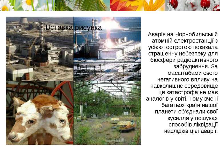 Аварія на Чорнобильській атомній електростанції з усією гостротою показала ст...