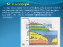 Межі біосфери Біосфера займає нижню частину атмосфери, верхній шар літосфери ...