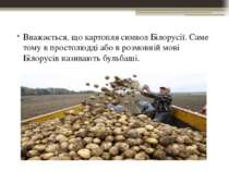 Вважається, що картопля символ Білорусії. Саме тому в простолюдді або в розмо...