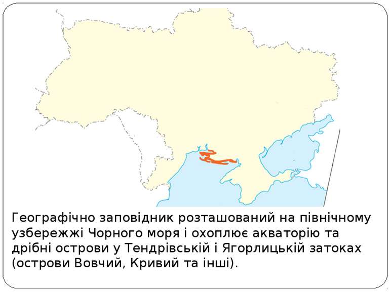 Географічно заповідник розташований на північному узбережжі Чорного моря і ох...