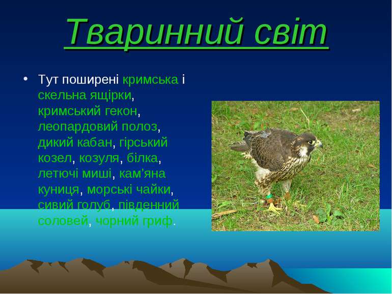Тваринний світ Тут поширені кримська і скельна ящірки, кримський гекон, леопа...