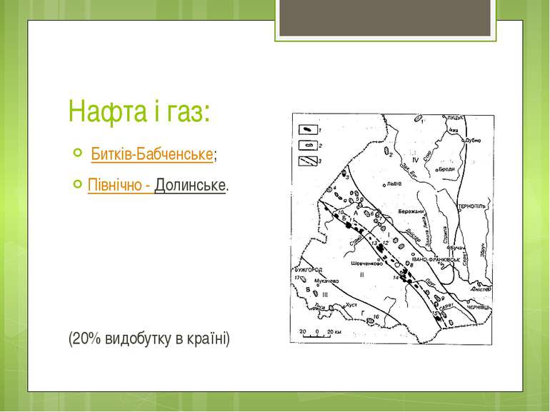 Нафта і газ:  Битків-Бабченське; Північно - Долинське. (20% видобутку в країні)