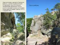 Природоохоронна територія в Українських Карпатах, у масиві Сколівські Бескиди...