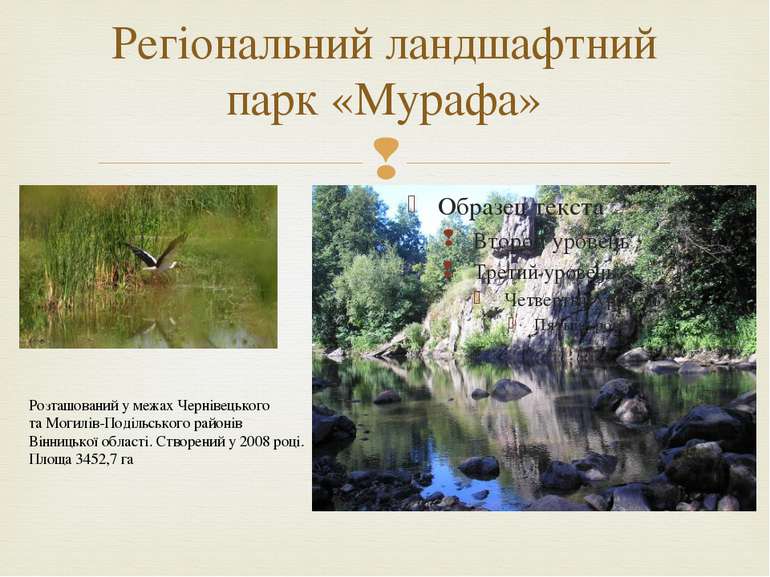 Регіональний ландшафтний парк «Мурафа» Розташований у межах Чернівецького та ...
