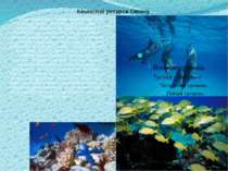 Біологічні ресурси Океану Усі організми, як і людина використовує для власних...