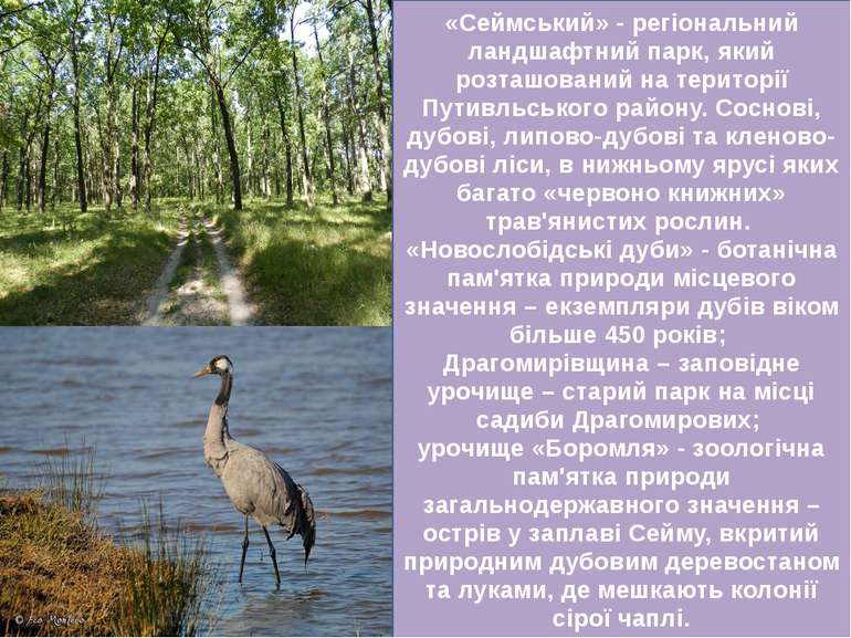 «Сеймський» - регіональний ландшафтний парк, який розташований на території П...