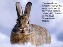 Тваринний світ Білорусії налічує 457 видів хребетних (у тому числі ссавців, п...