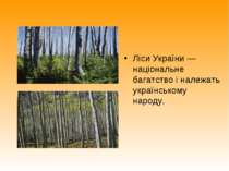 Ліси України — національне багатство і належать українському народу.