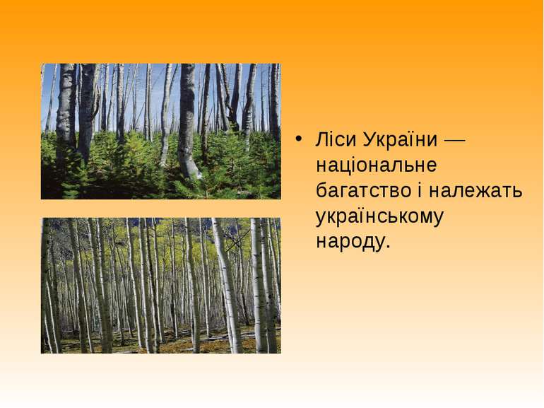 Ліси України — національне багатство і належать українському народу.