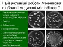 Найважливіші роботи Мечникова в області медичної мікробіології: Дослідження п...