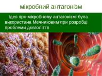 мікробний антагонізм Ідея про мікробному антагонізмі була використана Мечнико...