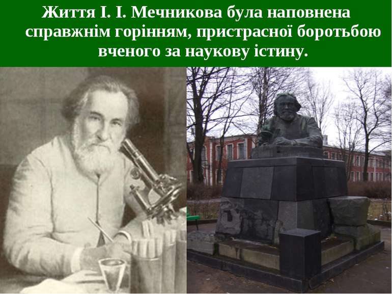 Життя І. І. Мечникова була наповнена справжнім горінням, пристрасної боротьбо...
