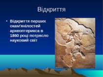 Відкриття Відкриття перших окам'янілостей археоптерикса в 1860 році потрясло ...