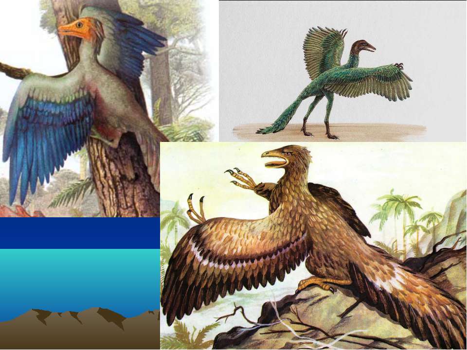 Возникновение первых птиц эра. Археоптерикс Эра. Мезозой Археоптерикс. Археоптерикс птица или динозавр. Мезозойская Эра Археоптерикс.
