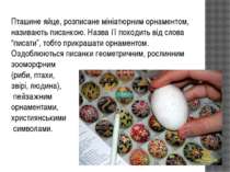 Пташине яйце, розписане мініатюрним орнаментом, називають писанкою. Назва її ...