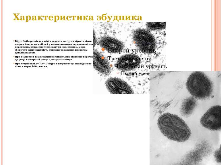 Характеристика збудника Вірус Orthopoxvirus variola входить до групи вірусів ...