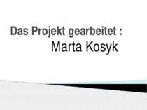 Das Projekt gearbeitet : Marta Kosyk
