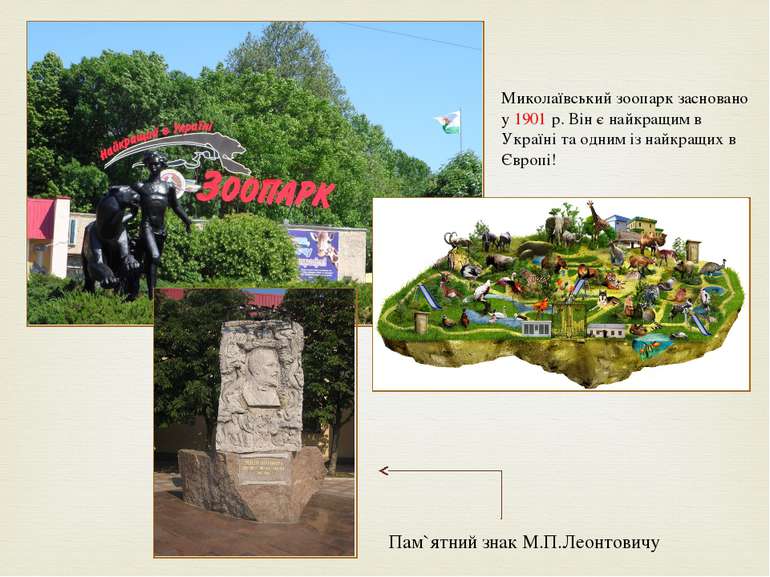 Миколаївський зоопарк засновано у 1901 р. Він є найкращим в Україні та одним ...