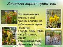 Загальна характеристика Рослини-хижаки живуть у воді прісних водойм, на забол...