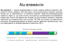 Alu-елементи Alu-елементи — широко розповсюджені в геномі людини мобільні еле...