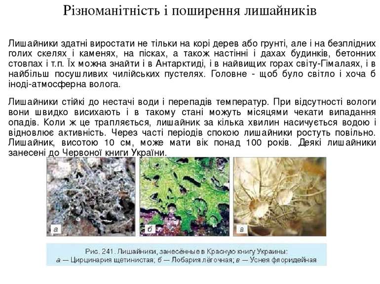 Реферат: Анатомічна будова лишайників та способи їх розмноження Поняття про рослинні угрупування