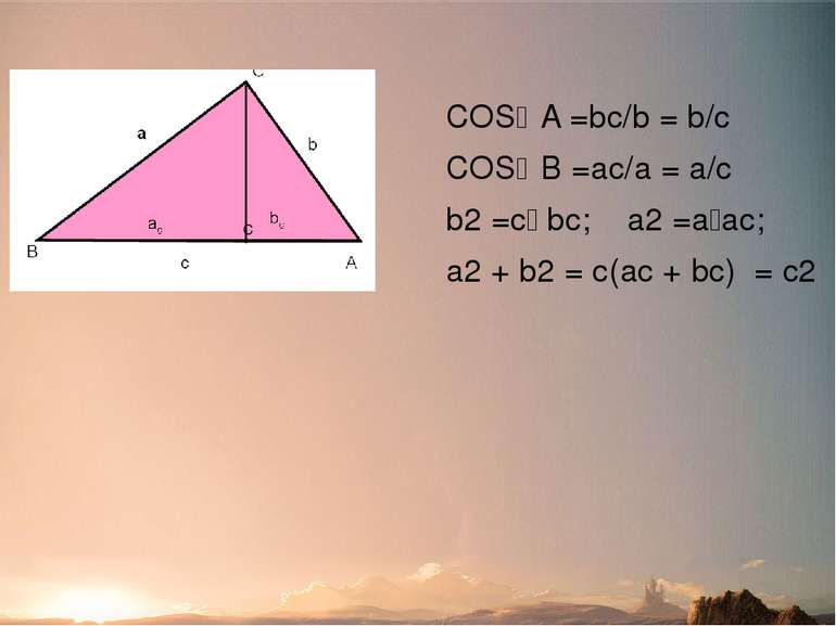 Доведення №4 (за допомогою тригонометричних функцій) COS A =bc/b = b/c COS B ...