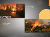 Forest fire in California In Oregon