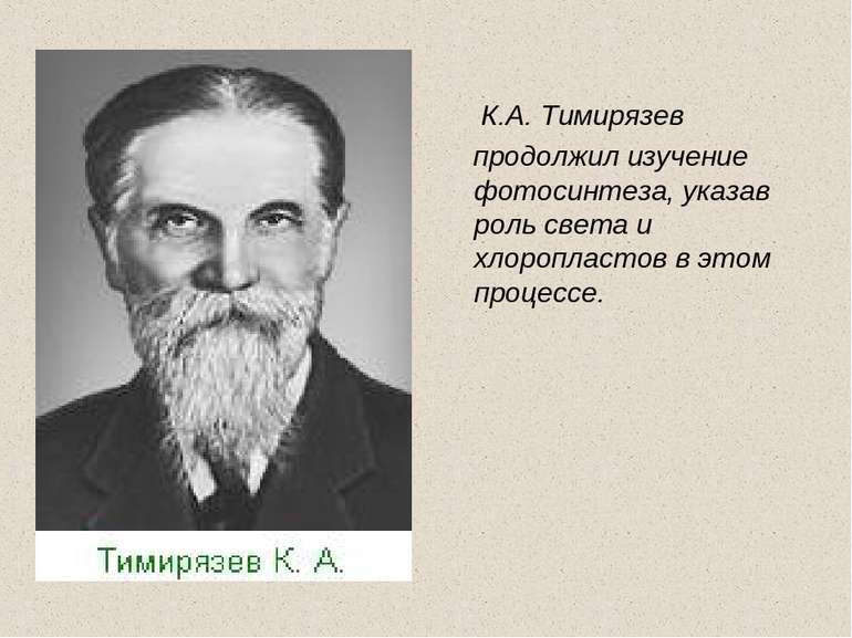 К.А. Тимирязев продолжил изучение фотосинтеза, указав роль света и хлоропласт...