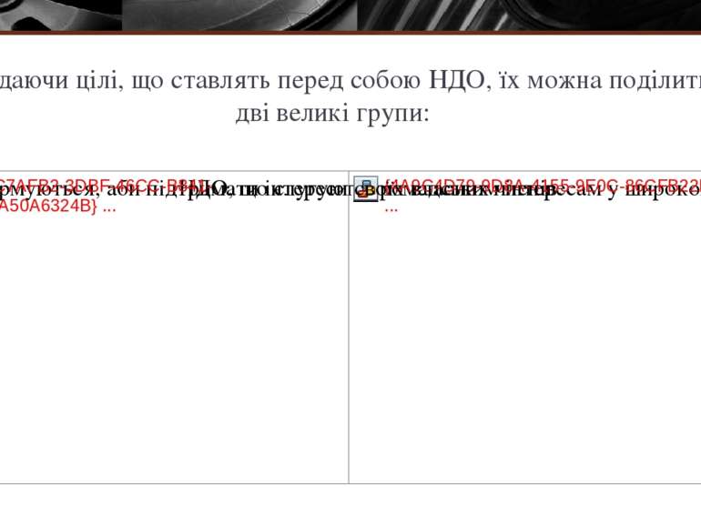 Розглядаючи цілі, що ставлять перед собою НДО, їх можна поділити на  дві вели...