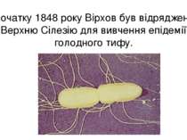 На початку 1848 року Вірхов був відряджений у Верхню Сілезію для вивчення епі...