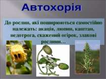 До рослин, які поширюються самостійно належать: акація, люпин, каштан, недотр...