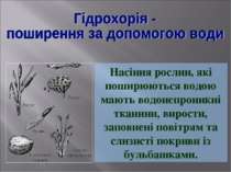 Насіння рослин, які поширюються водою мають водонепроникні тканини, вирости, ...