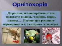 До рослин, які поширюють птахи належать: калина, горобина, вишні, малина… . Н...